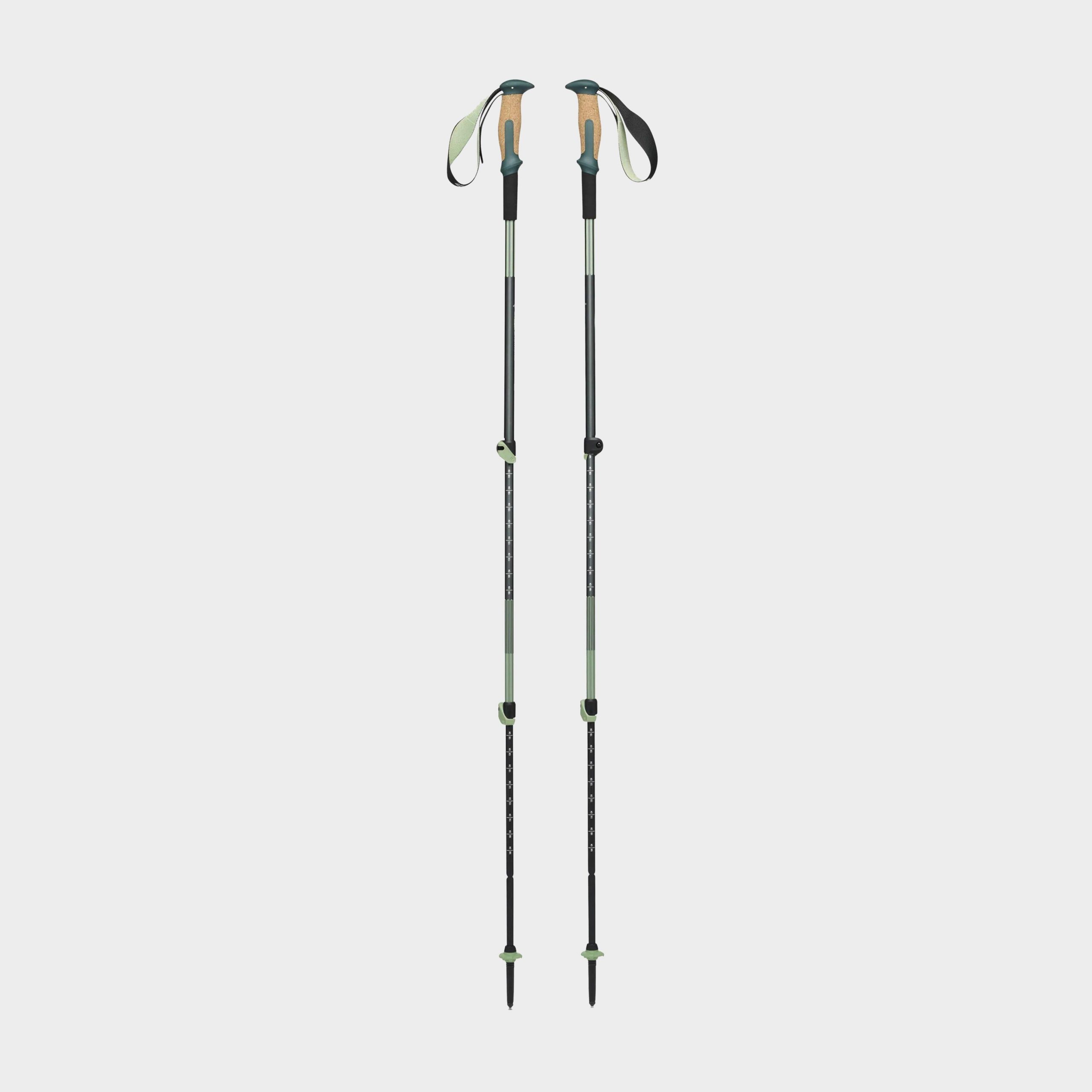 Black Diamond Trail Vista Shock Walking Poles