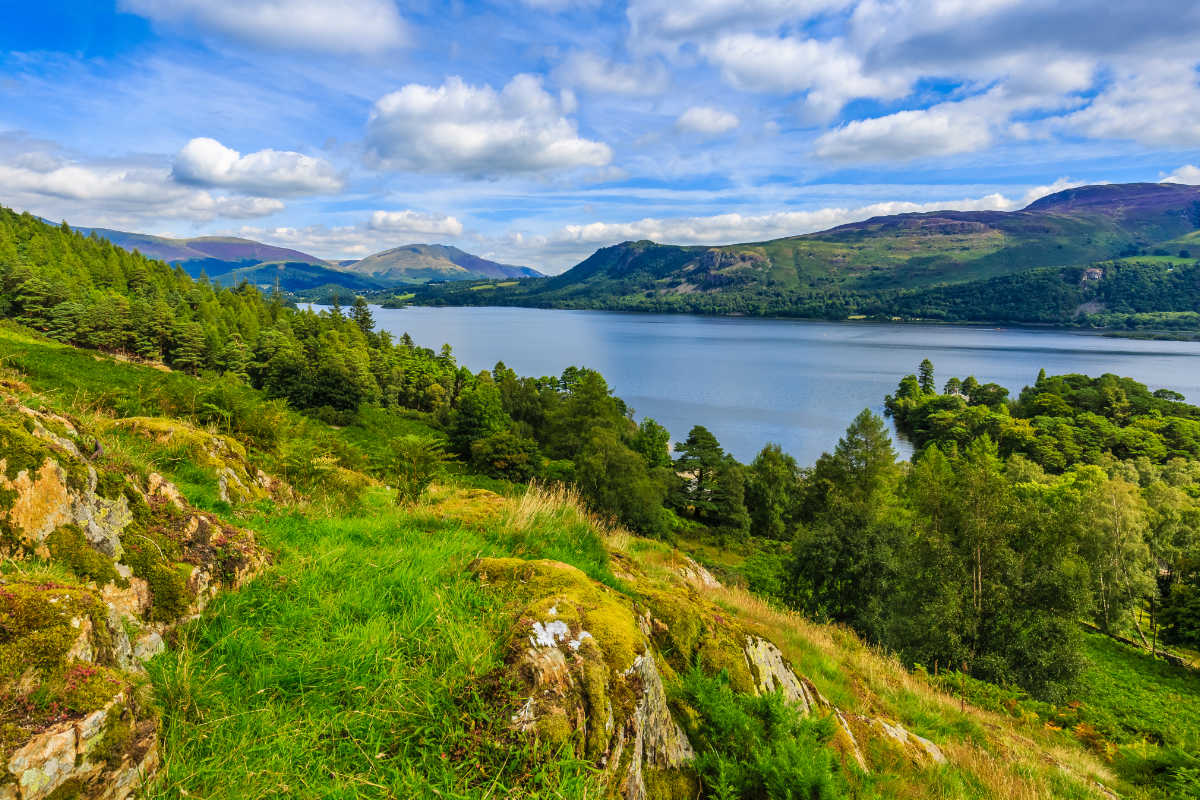 Hillside overlooking Derwentwater surrounded by forest of trees